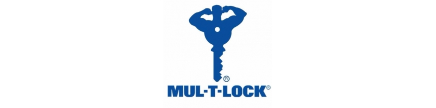Mul-T-Lock 